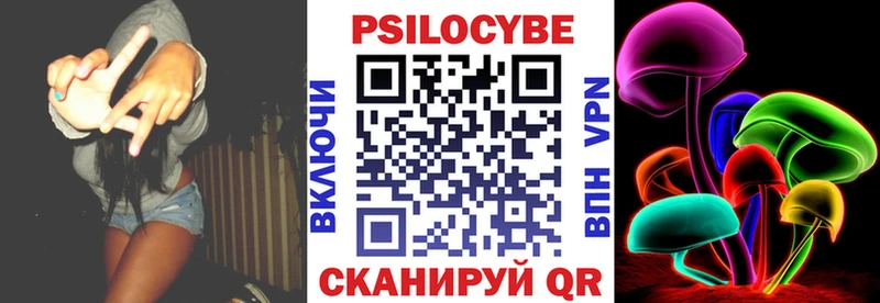 Купить  Урус-Мартан  Галлюциногенные грибы Psilocybe 