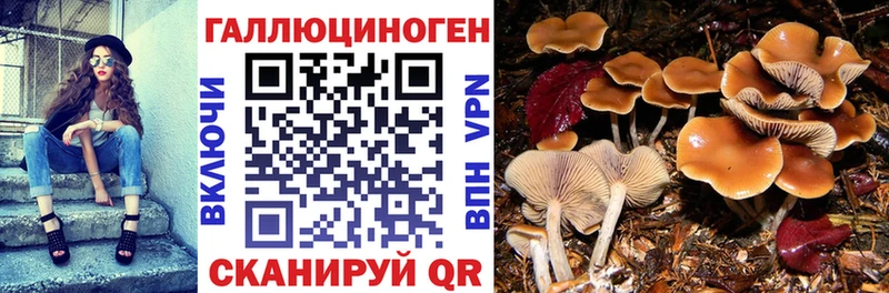 Псилоцибиновые грибы Magic Shrooms Урус-Мартан
