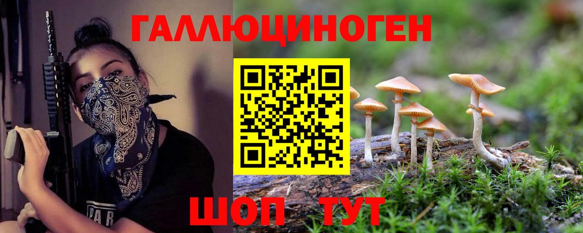 Галлюциногенные грибы Cubensis Урус-Мартан