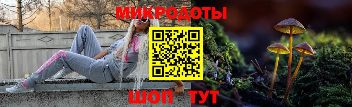 Псилоцибиновые грибы Psilocybe  Псилоцибиновые грибы Psilocybe  закладки  Вход с VPN  Урус-Мартан 